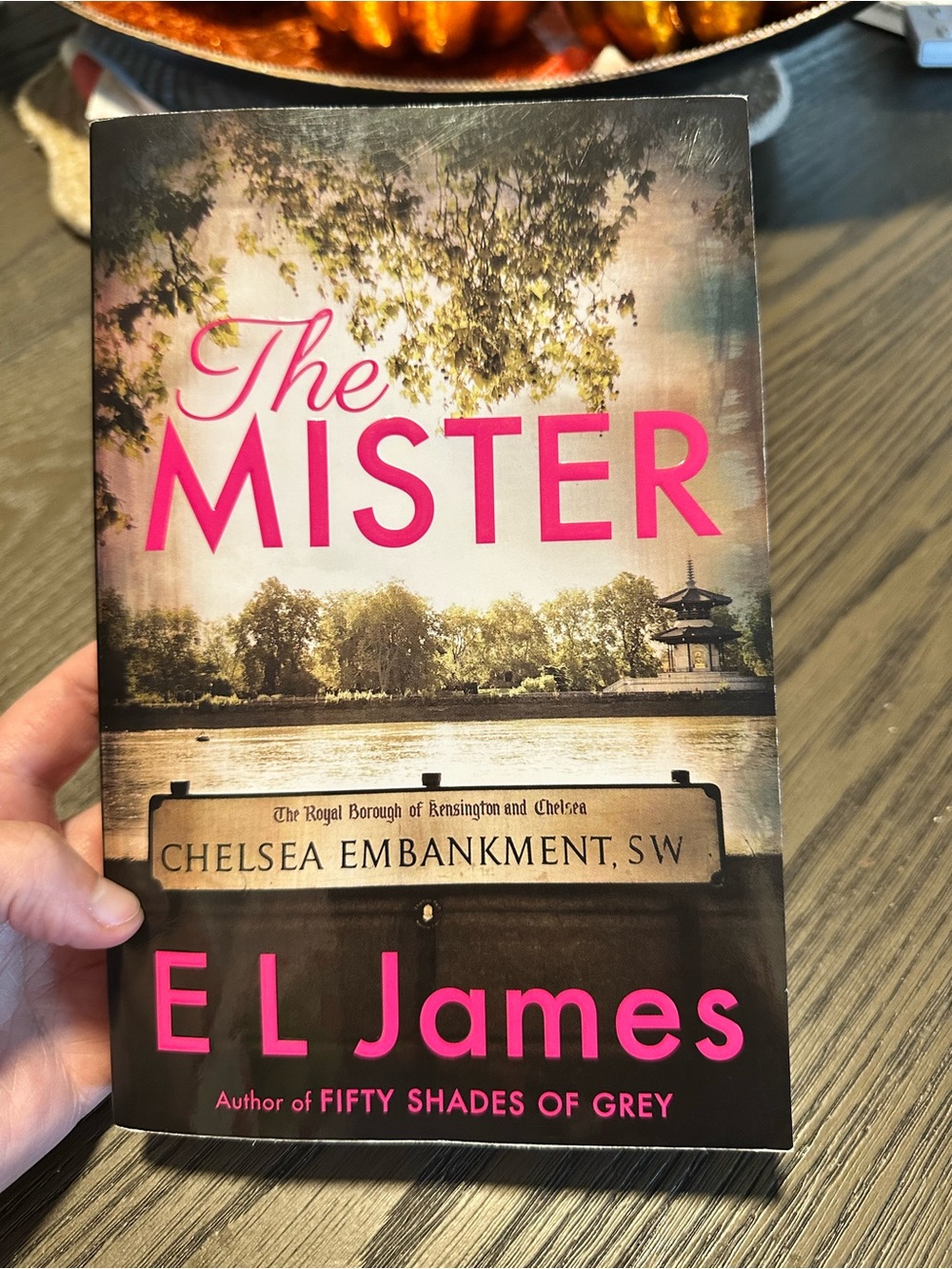 📚3 for $20 📚The Mister by E L James